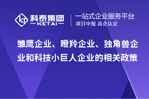 雛鷹企業(yè)、瞪羚企業(yè)、獨(dú)角獸企業(yè)和科技小巨人企業(yè)的相關(guān)政策