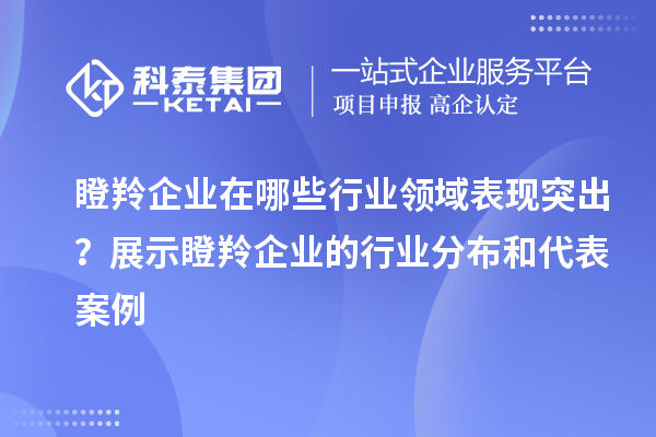 瞪羚企業(yè)在哪些行業(yè)領(lǐng)域表現(xiàn)突出？展示瞪羚企業(yè)的行業(yè)分布和代表案例